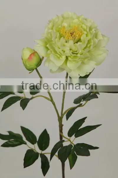 27068P forsythia temple florist