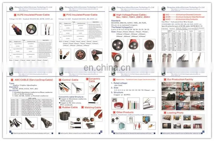 Electro/Hot Dipped galvanized welded iron wire mesh Factory