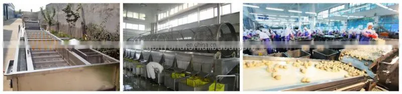 canned mushroom production line