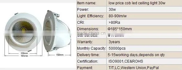 COB LED Ceiling light 30W