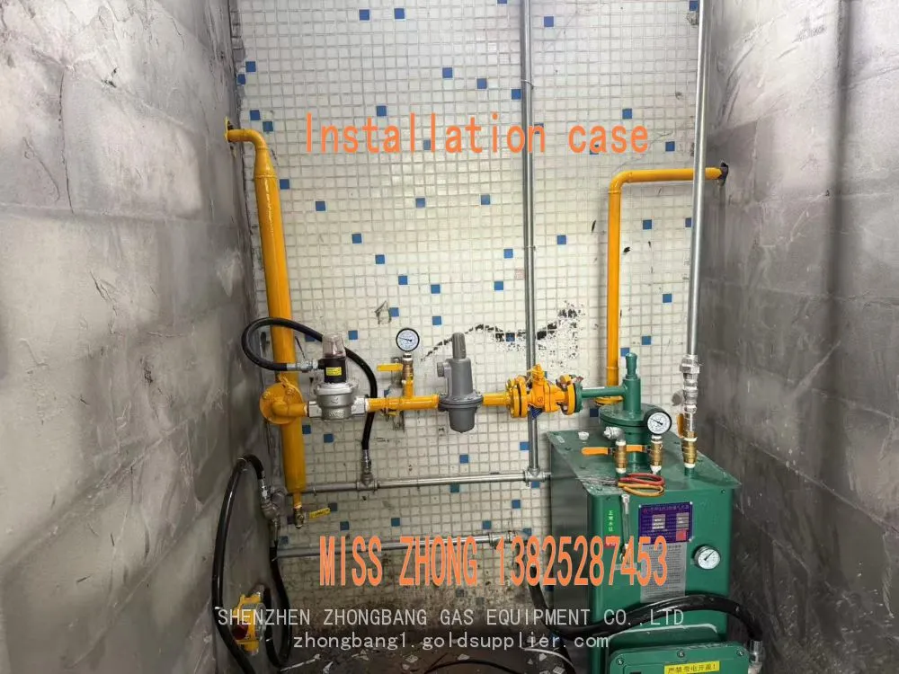 气化炉安装案例.jpg.webp
