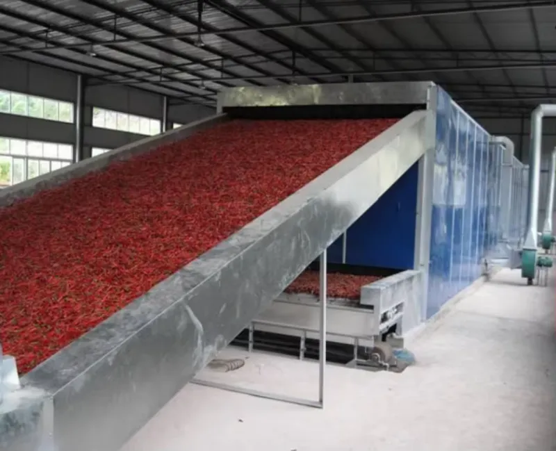 Stainless Steel Nuts Hot Water Blancher Potato Sweet Corn Mangoes Kiwi Chips Boiling Blanching Machine for Jute Leaves