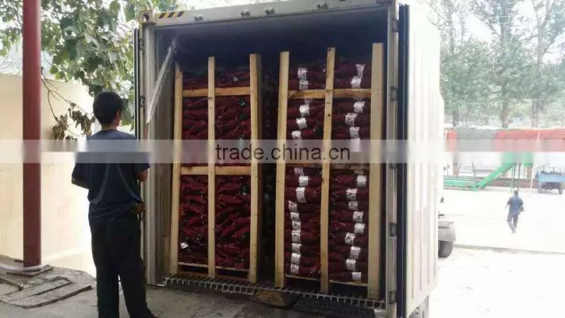 2015 new crop Chinese fresh chestnut price