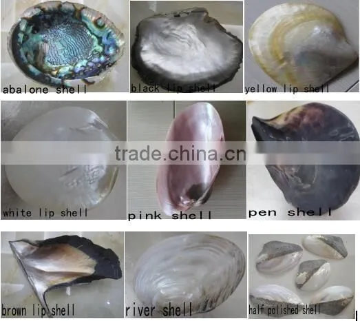 brick pattern Chinese river shell mix gold lip mother of pearl mosaic tile suppplied on magnesium with joints