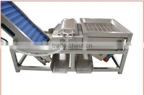 New type comprehensive washing machine for dates/date washing machine/date processing machine