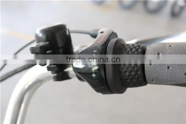 2015 Electric City Bike 250w LMTDF-19L
