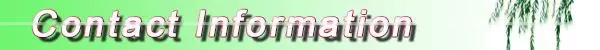chipwood baskets for garden plant wholesale/handmade baskets for potted plant