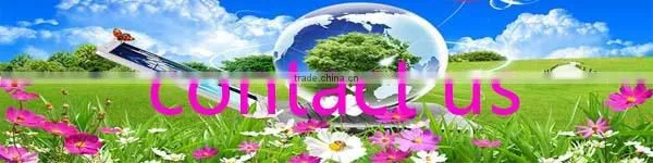 factory directly sale beautiful couple crystal swans