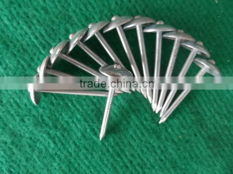 common round steel wire nail/common steel nail