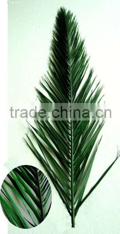Fan Preserved palm leaf