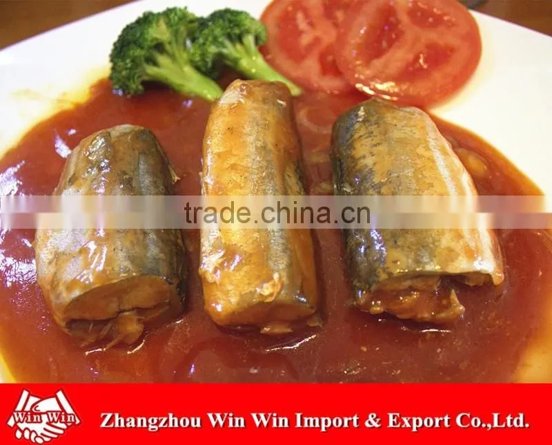 Oval can best canned sardine in toamto sauce sardinas en lata en salsa de tomate (125g/155g/425g)