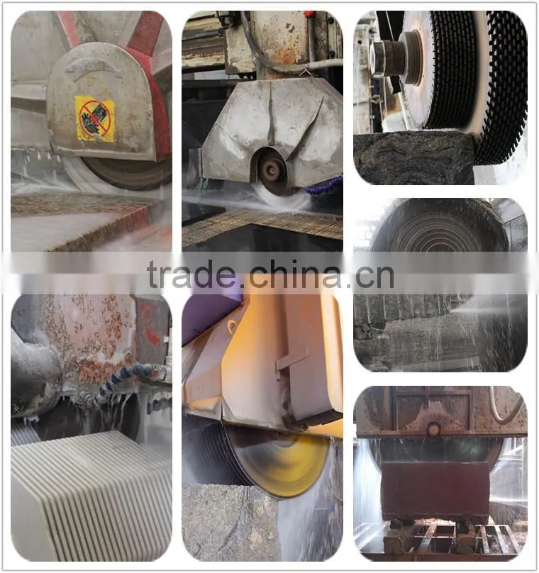 Hot sales Iran market segment for granite multi blade cutting