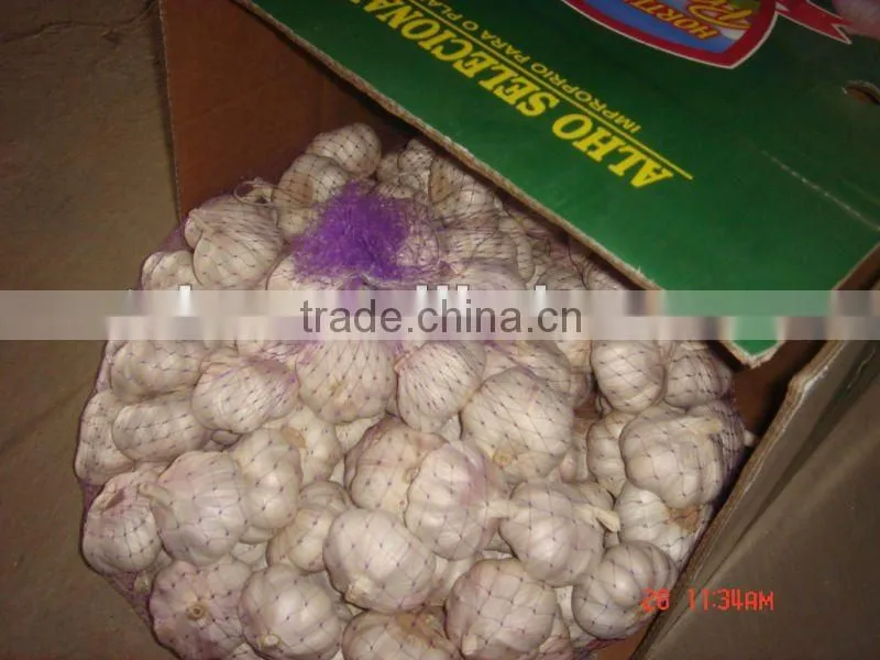 shandong jingxiang fresh garlic