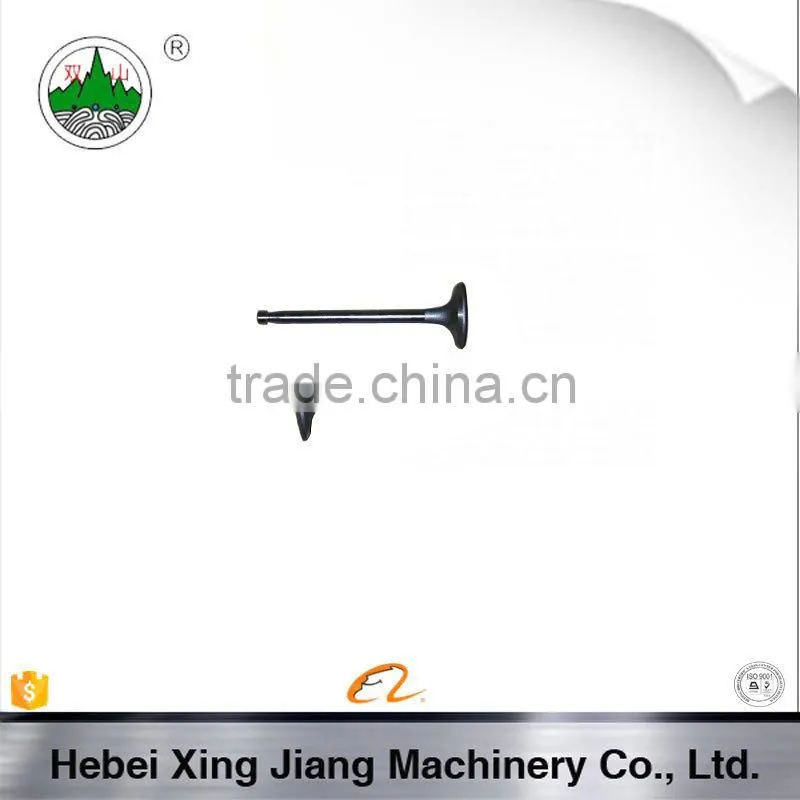 Farm Tractor Diesel Engine Parts R100 Valve