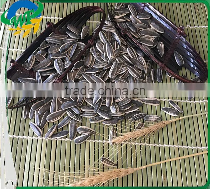 Raw sunflower seeds 0409 stye oil market price oil ukraine