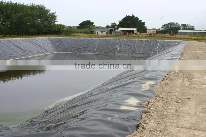 HDPE waterproof geomembrane/liner/sheet