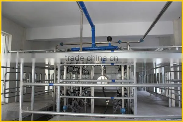 Milking sheep Parlor in dairy farm