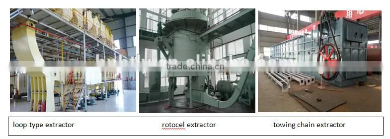 Canola Oil Hot Pressing Plant