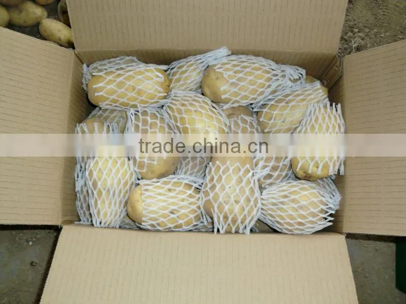 New Crop Fresh Potatoes
