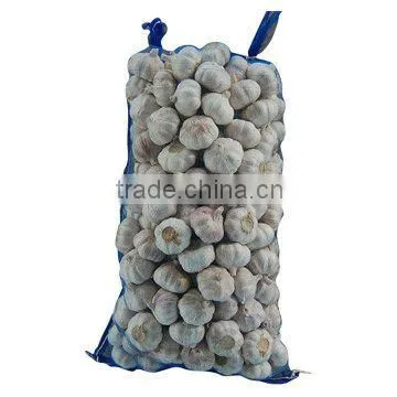 WHITE GARLIC