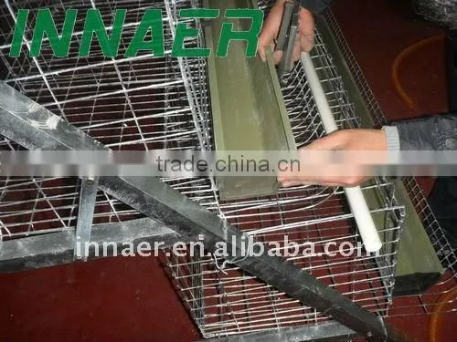 Automatic feeding line for layers and broilers