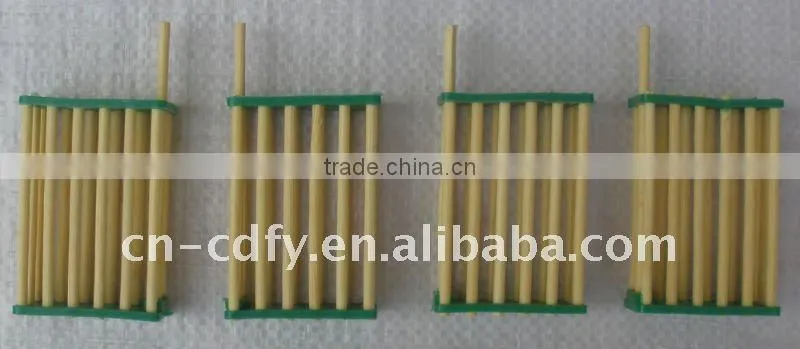 Bamboo And Plastic Bee Queen Cage