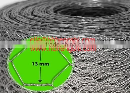 Hexagonal Mesh/Hexagonal Wire Mesh