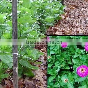 High Quality Climbing Plant Support Net (PP, PE)