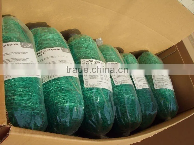 High Quality PE Plant Support Net