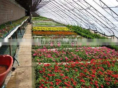 Winter garden flower greenhouse tunnel film