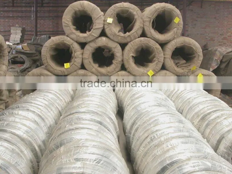 Electro galvanized wire (factory)