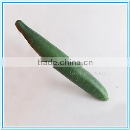 Cheap artificial decoration plastic melon