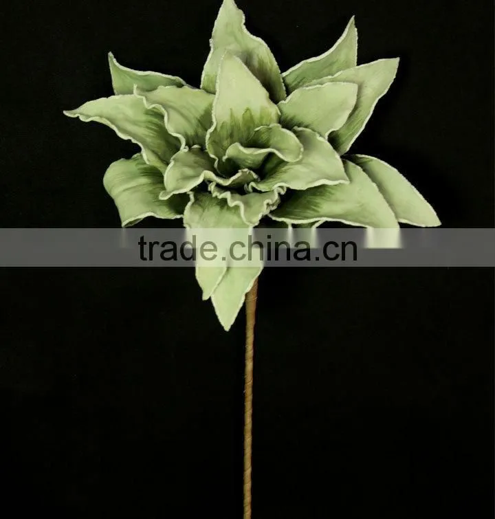 wholesale alibaba large indoor tropical plants