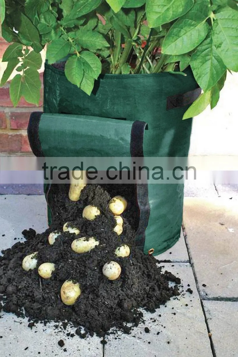Cheap popular PE plastic coco peat growing bag