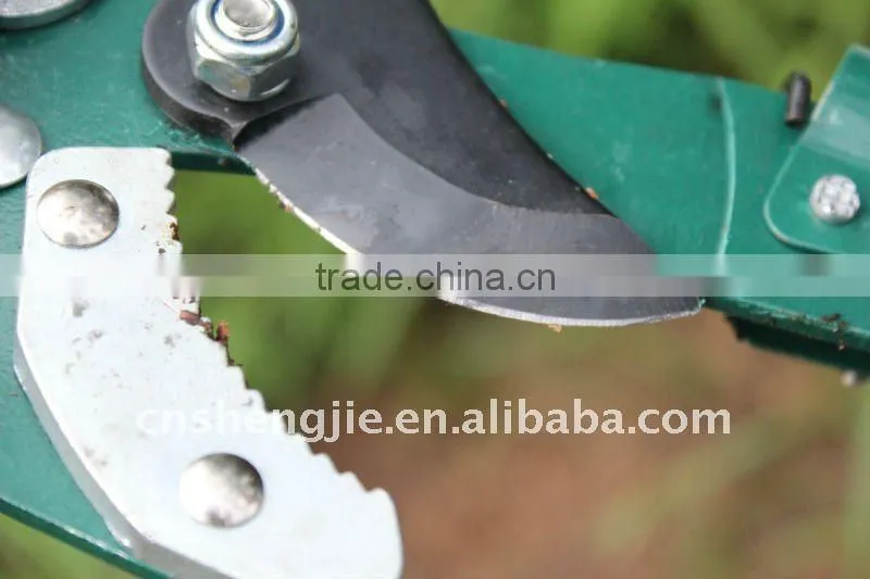pole tree pruner