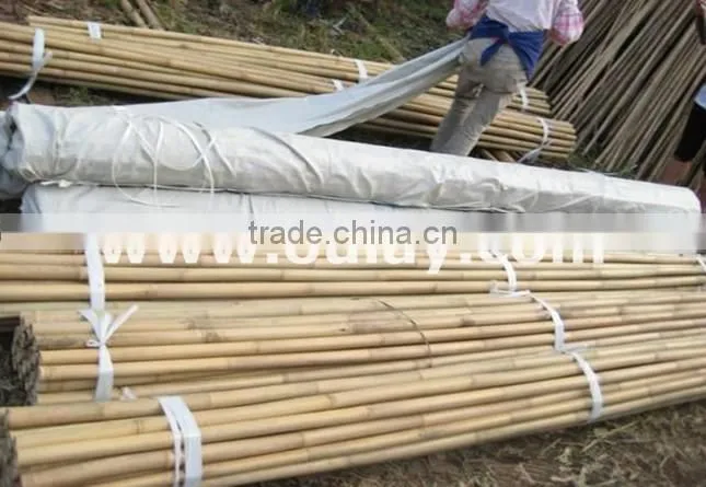 vineyard pole ,bamboo poles wholesale