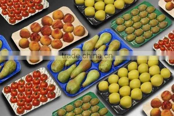 Display Tray fruit packing tray Customed PP Fruit Tray Packaging