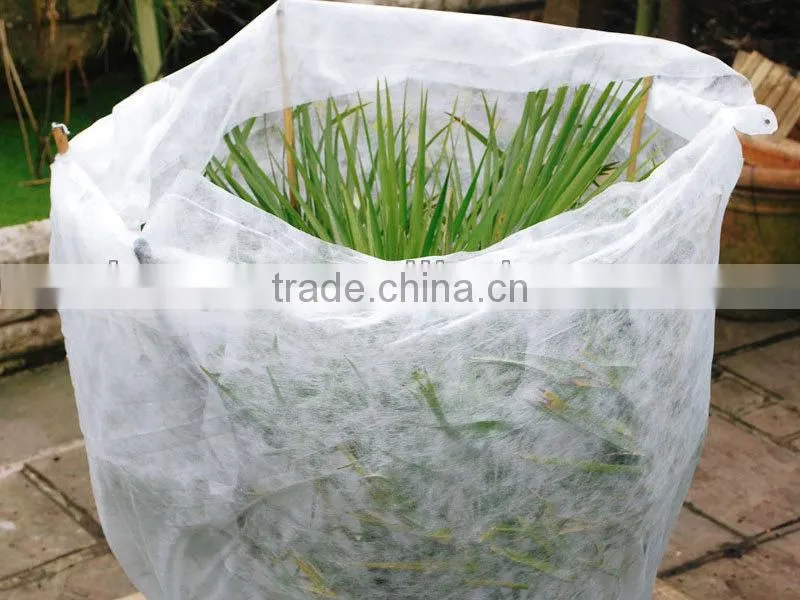 Biodegradable Polypropylene Agricultural Film
