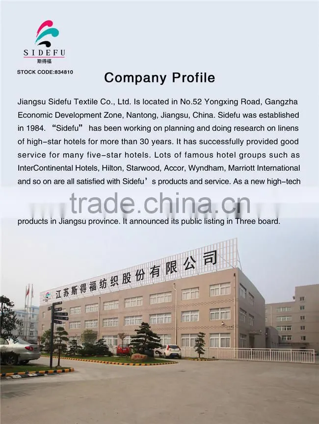 Jiangsu Sidefu Textile Co., Ltd. company overview - view 2