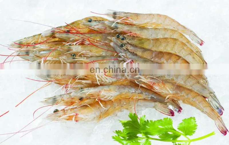 Aquaculture equipment for fish pond aerator/pond aerator/ impeller aerator