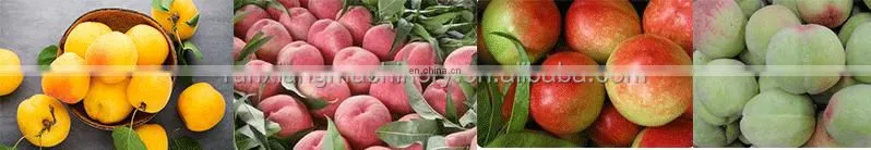 Commercial Use Fruit Stone Coring Seed Removing Plum Olive Cherry Pitter
