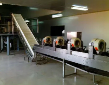 Automatic Pomegranate Juice Production Line