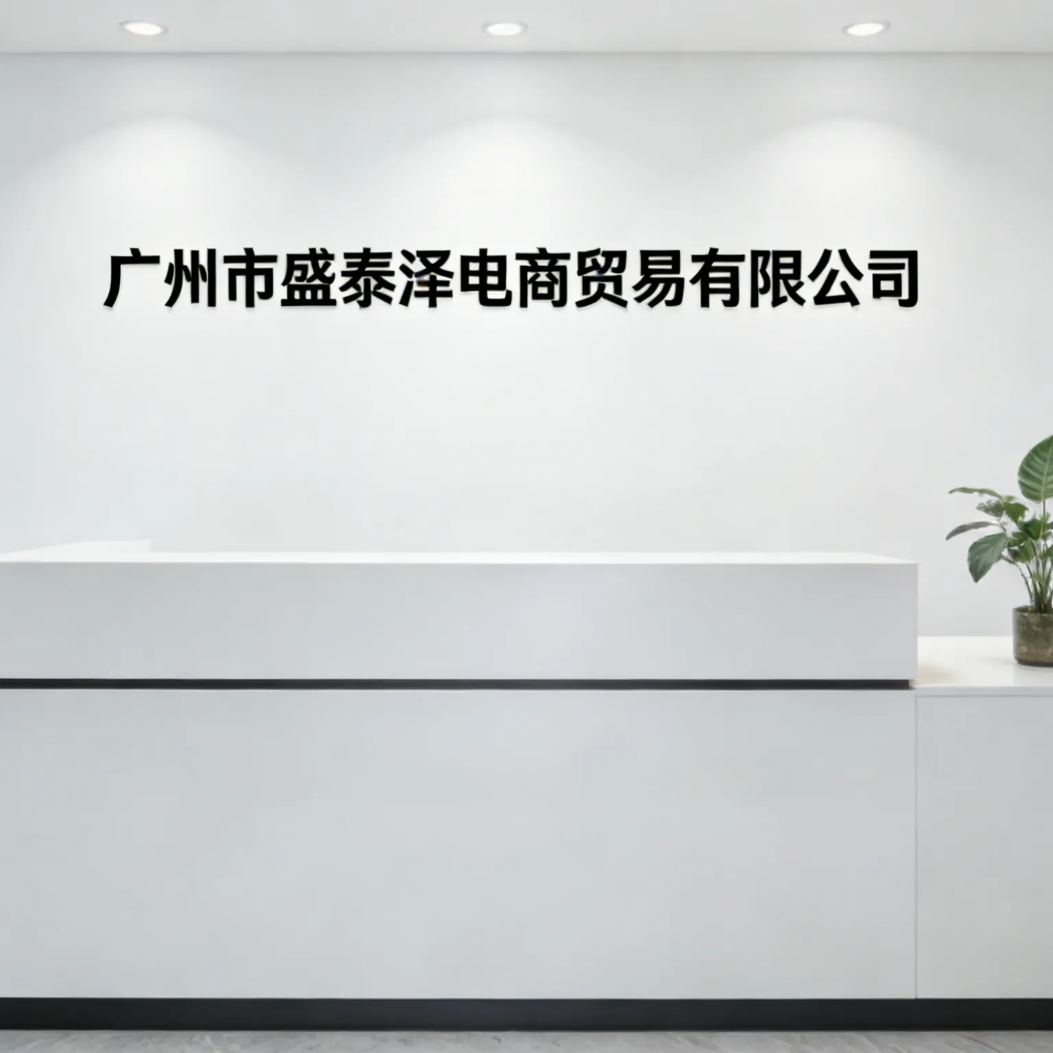Guangzhou Shengtaize E-commerce Trading Co., Ltd. company overview - view 1