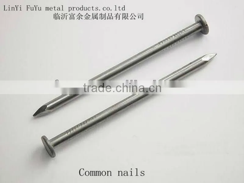 high quality and low price polished wire nail made in China supplier
