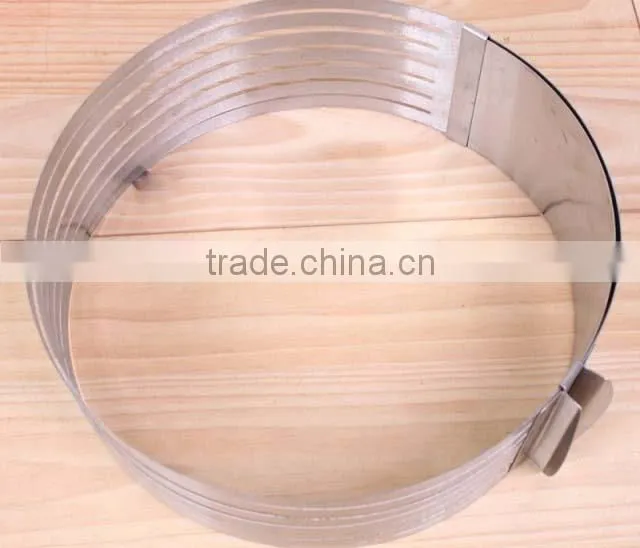 YangJiang factory manufature high quality big size stainless steel round Cake Mold
