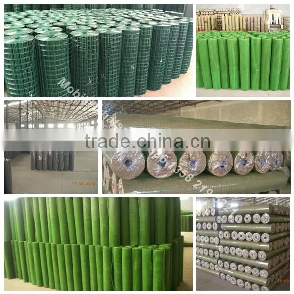 china facotry green color epoxy coated wire mesh