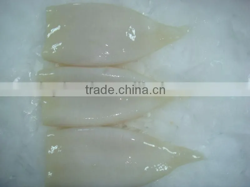 Frozen Squid Tube fish