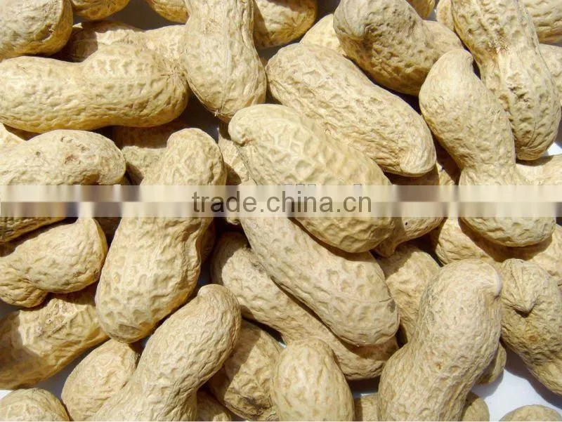 Chinese Raw Peanut Kernel