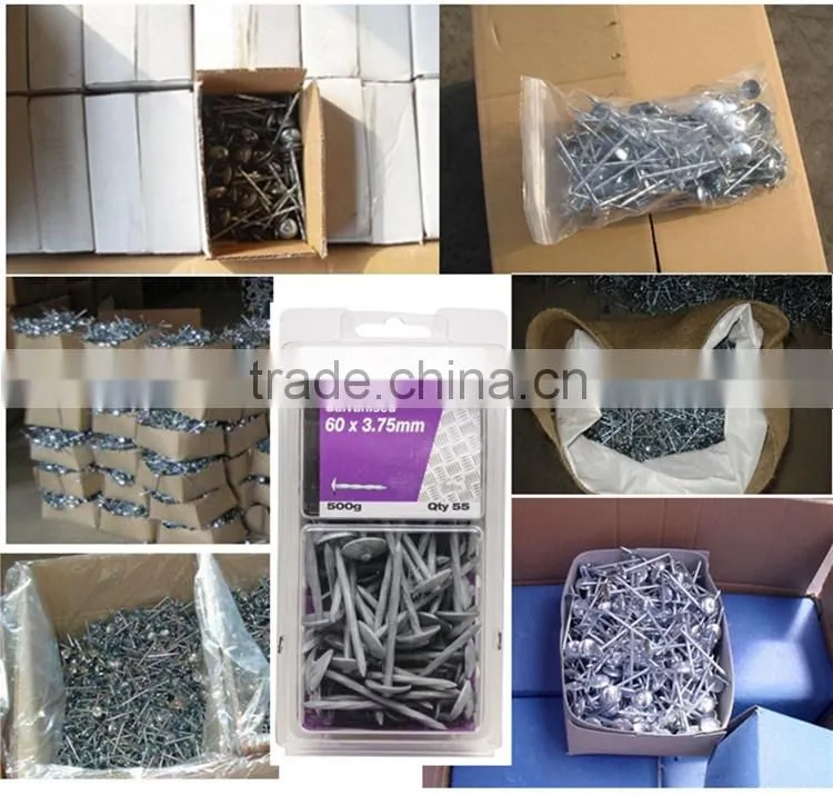 China building material dubai and arabic screw roofing nail with washer