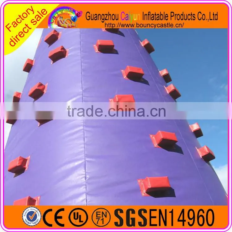 Giant cheap inflatable rock climbing wall with mattress for kids and adults